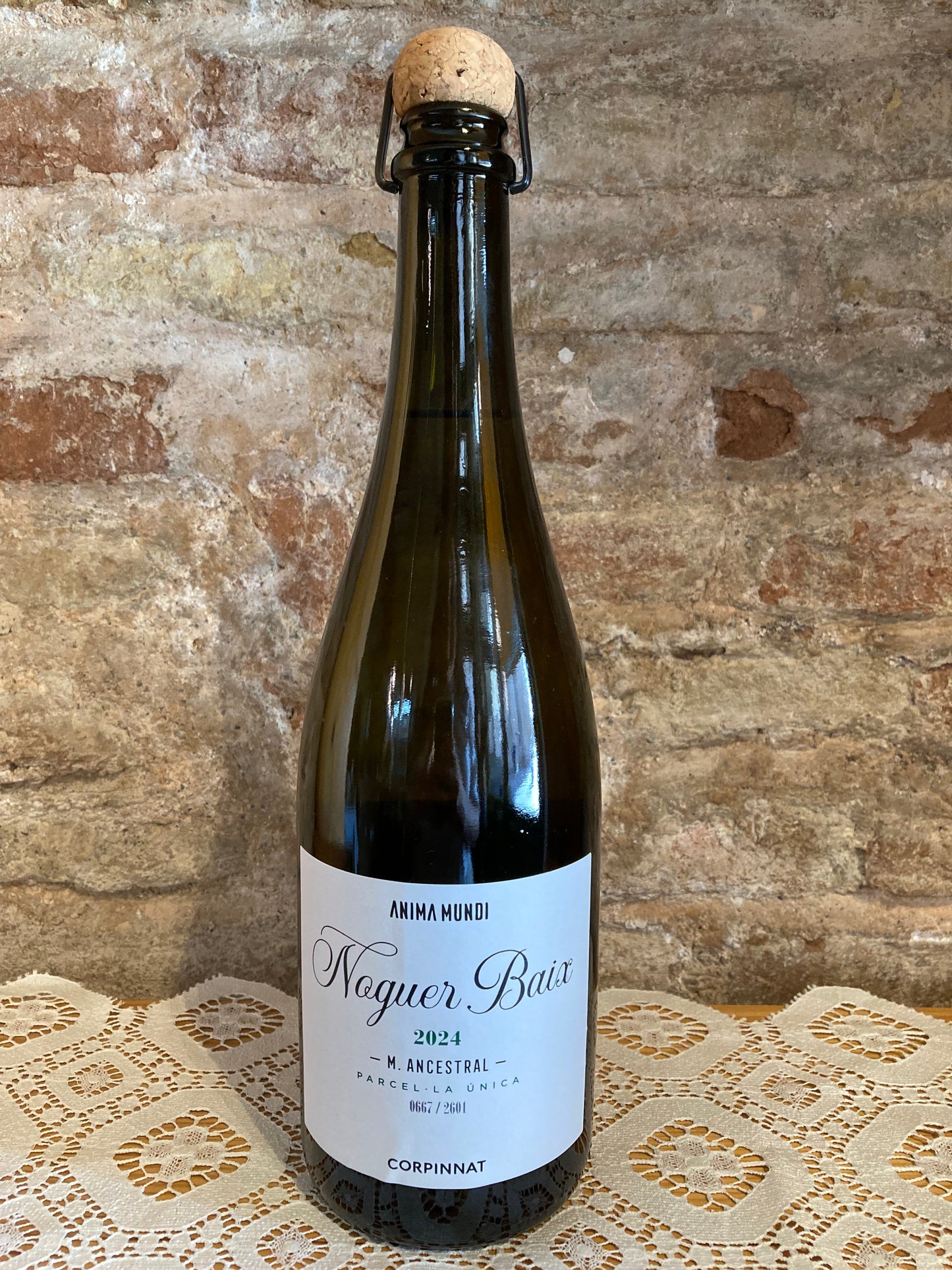 Anima Mundi- Ancestral Noguer Baix 2024