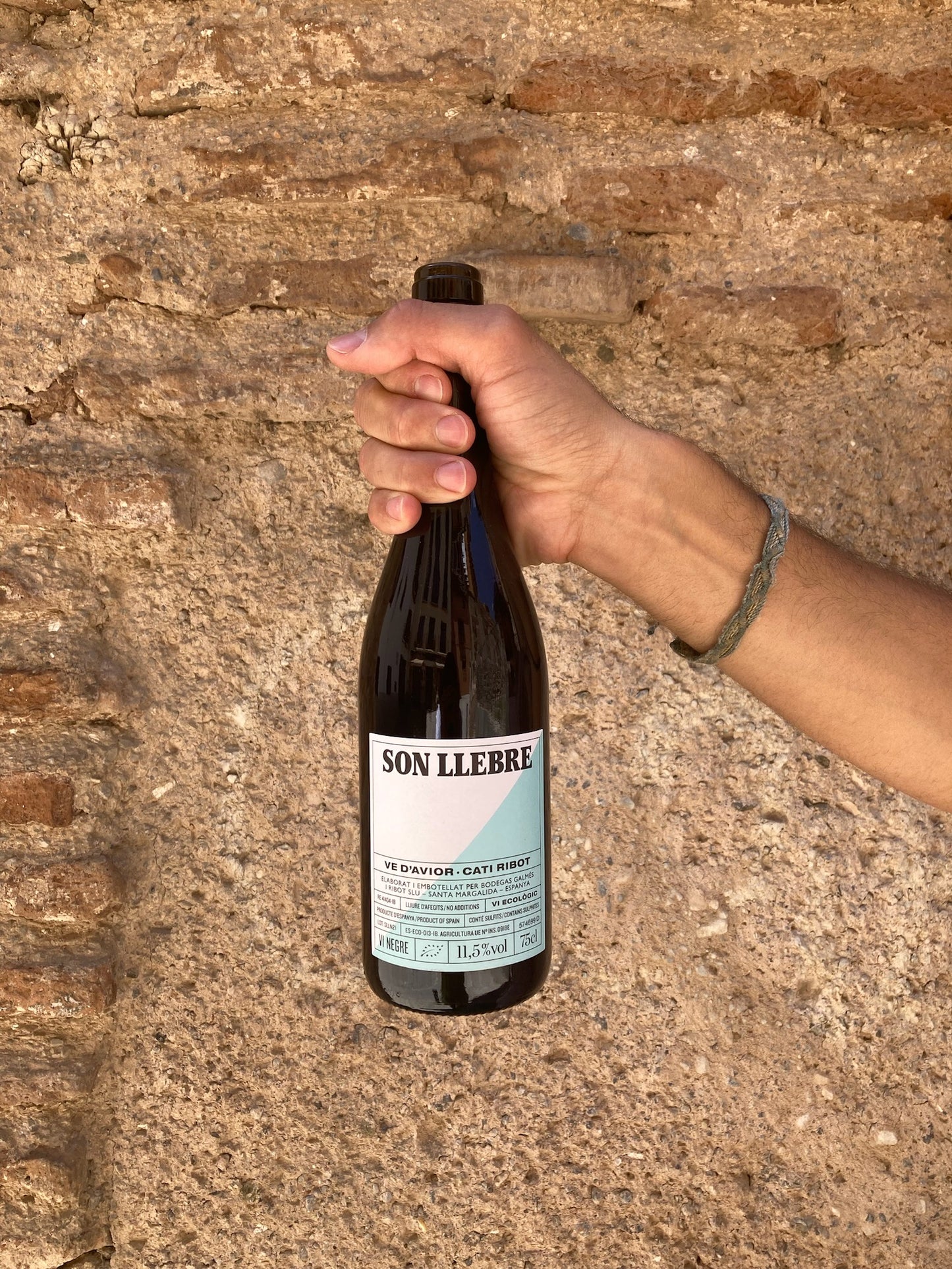Ve d'avior son Llebre tinto, 2021