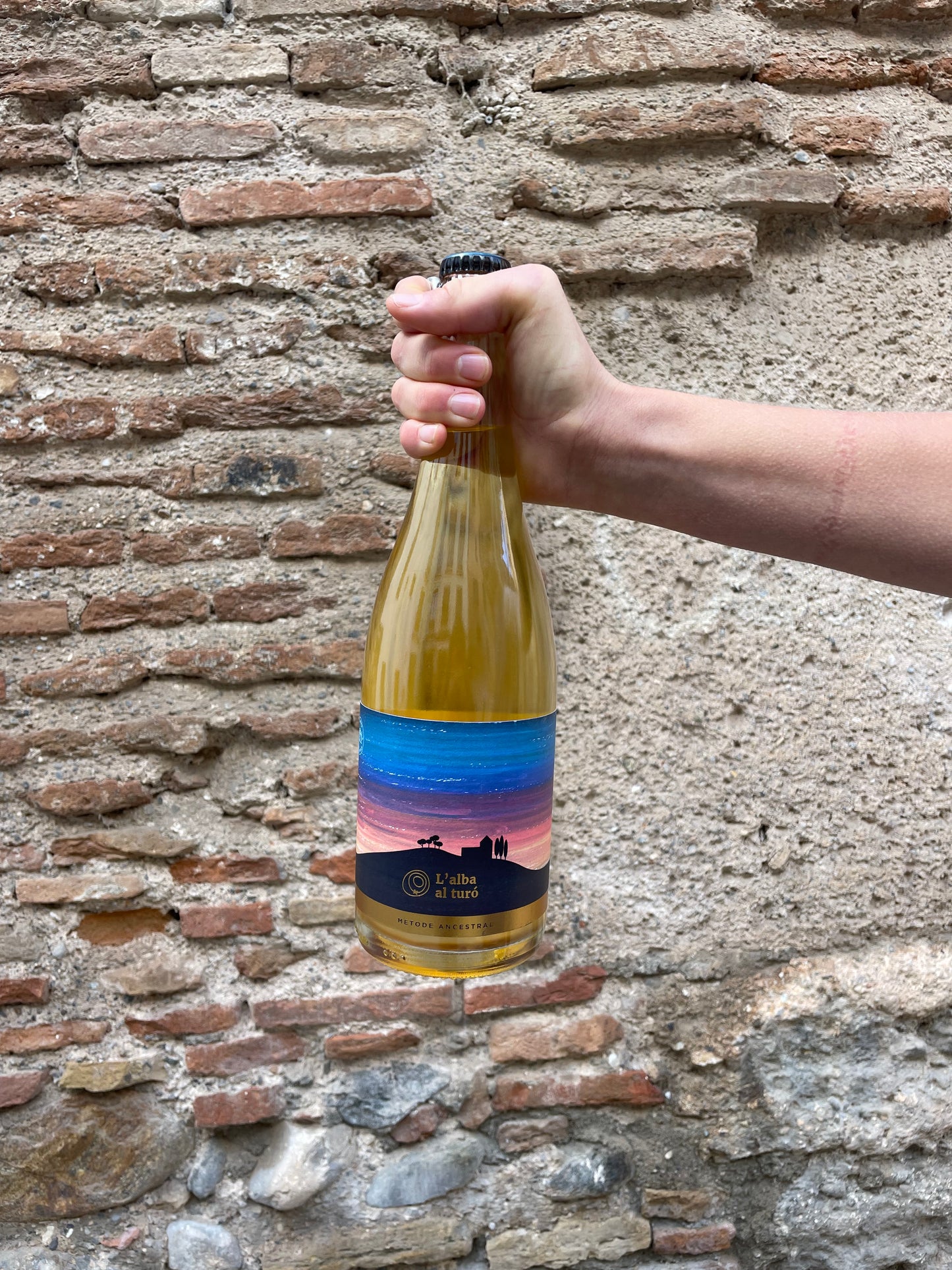 L'Alba al Turó Blanc, 2019