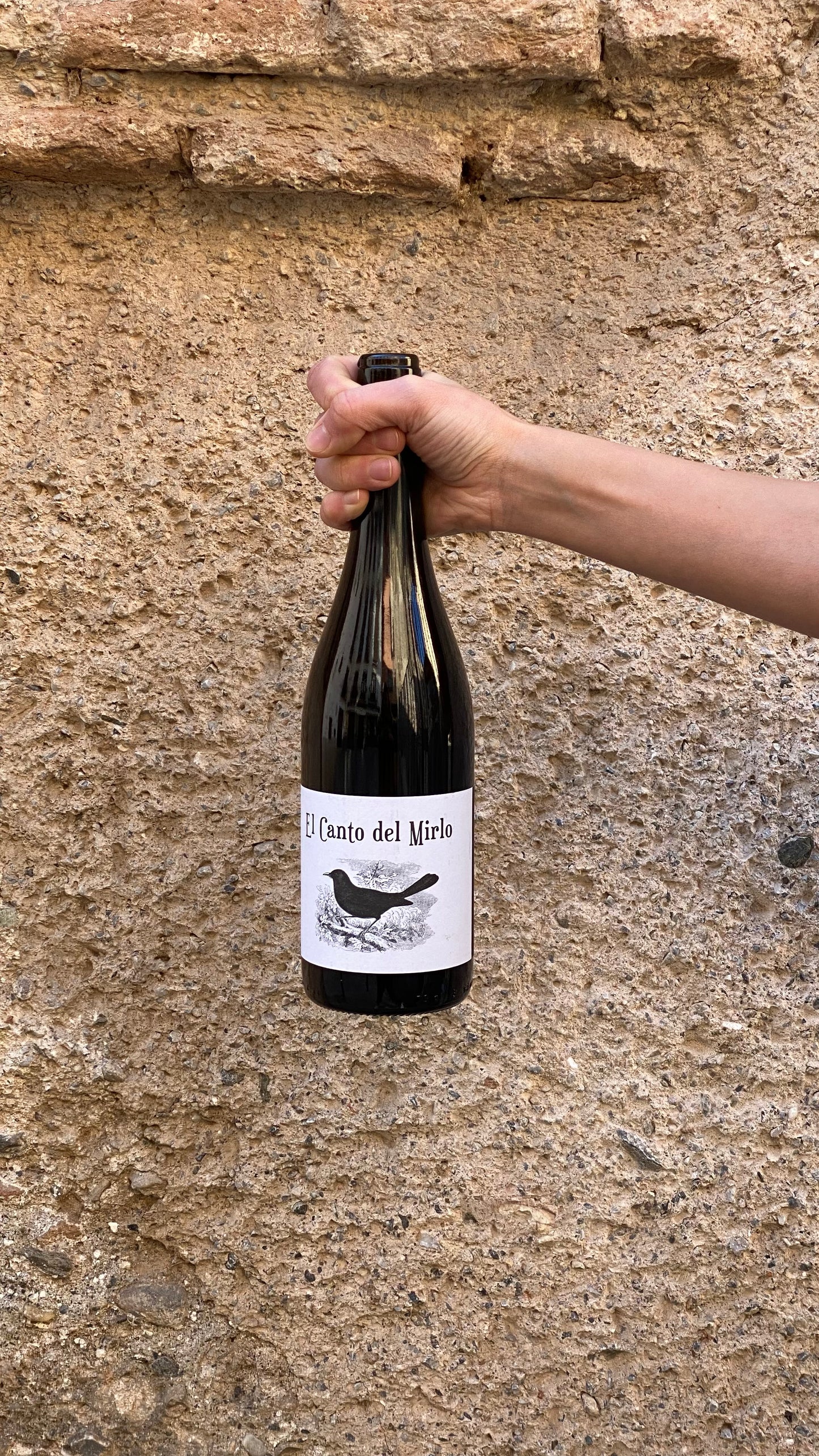 el canto del mirlo al sur de granada