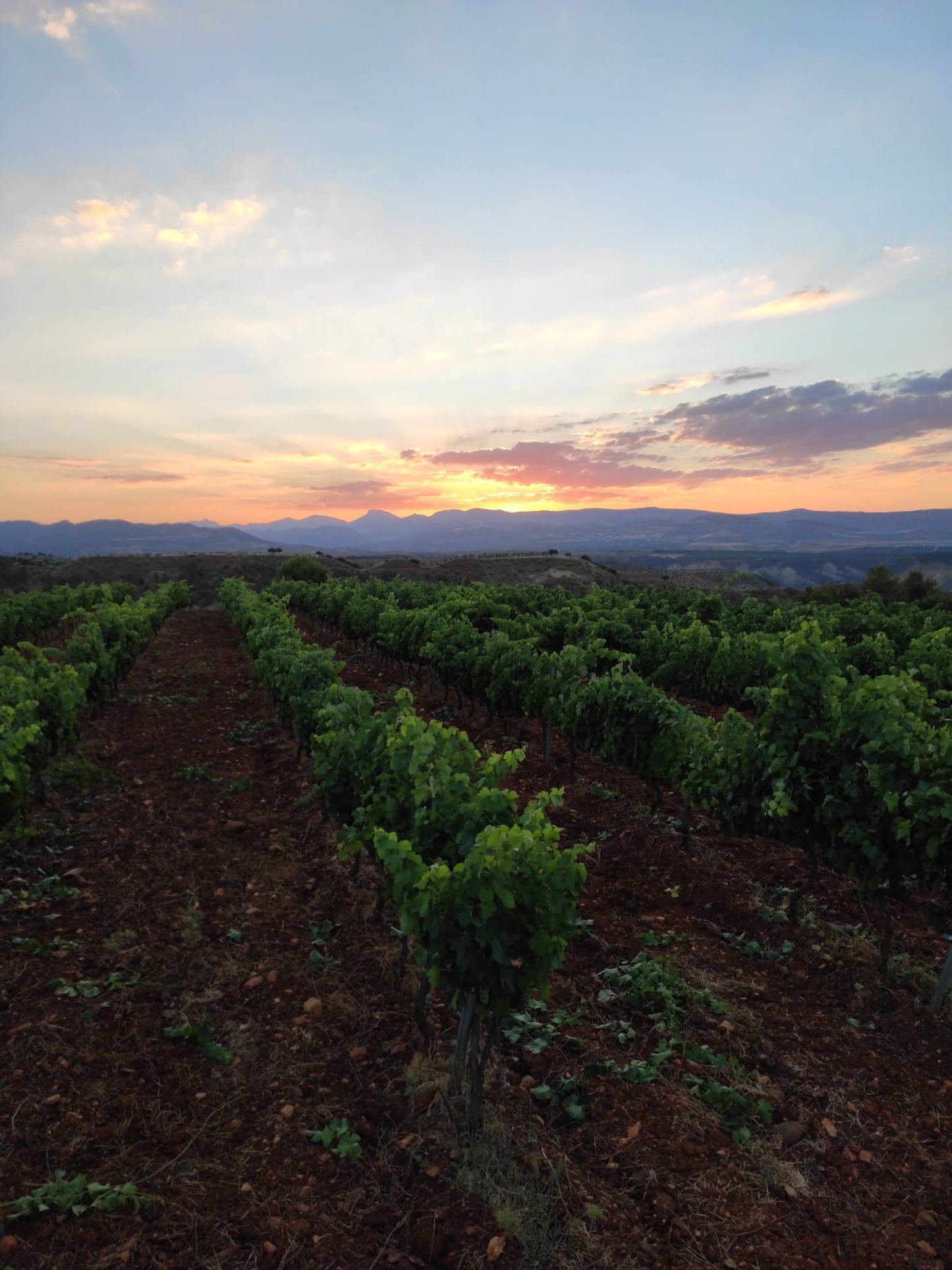 MEET THE MAKER - TARJETA REGALO - AL SUR DE GRANADA