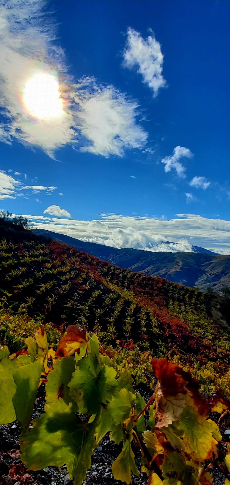 Meet Garcia de Verdevique - AL SUR DE GRANADA