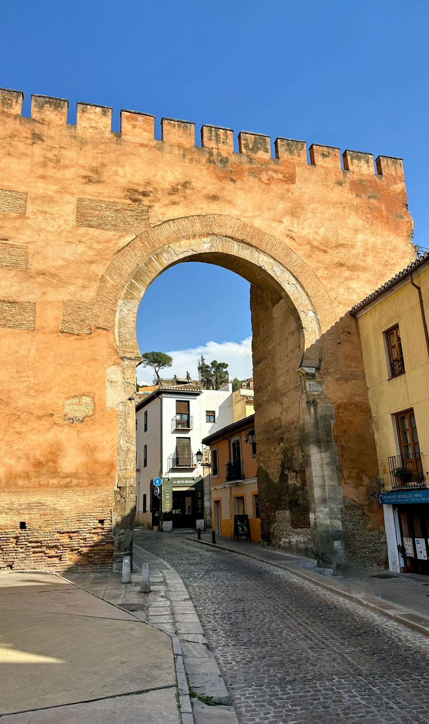 TALLER DE QUESOS - AL SUR DE GRANADA