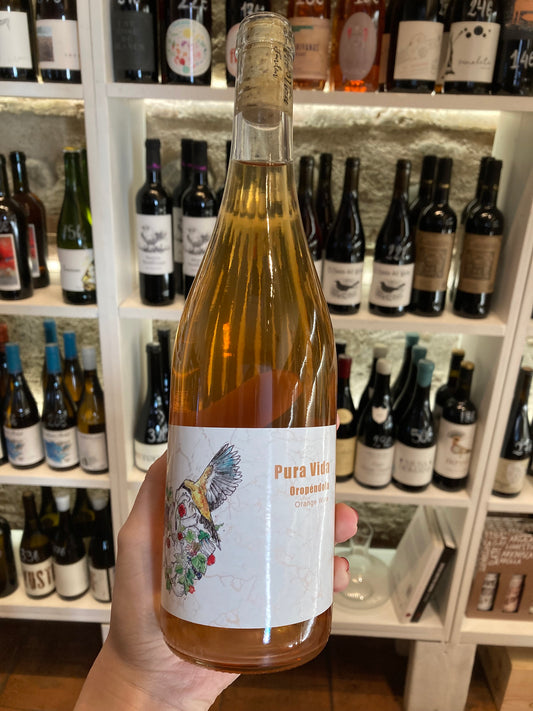 Oropendola Orange 2024