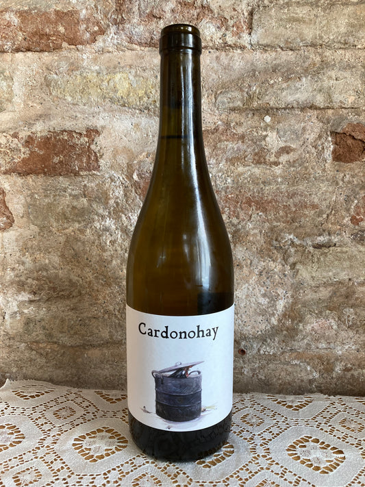 Barranco Oscuro-Cardonohay, 2023
