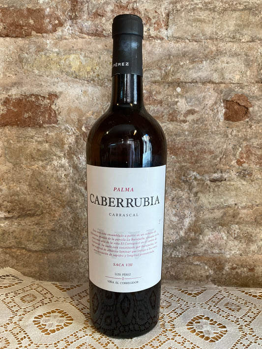 Luis Perez Caberrubia Saca VIII 2024