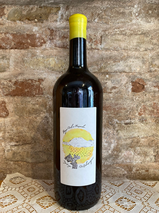 Garcia de Verdevique Magnum Bajo Velo