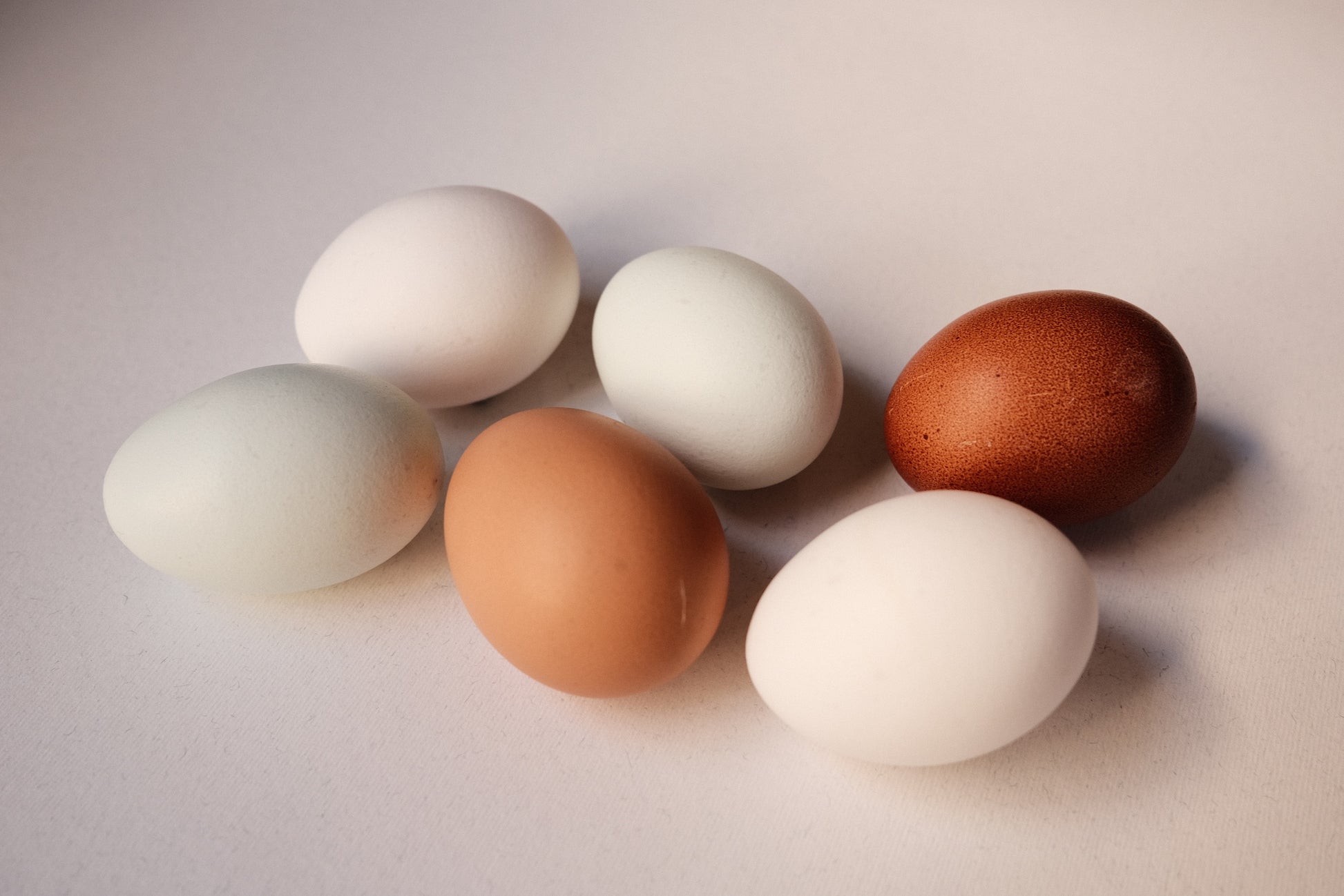 Media docena de huevos "Cobardes y gallinas"